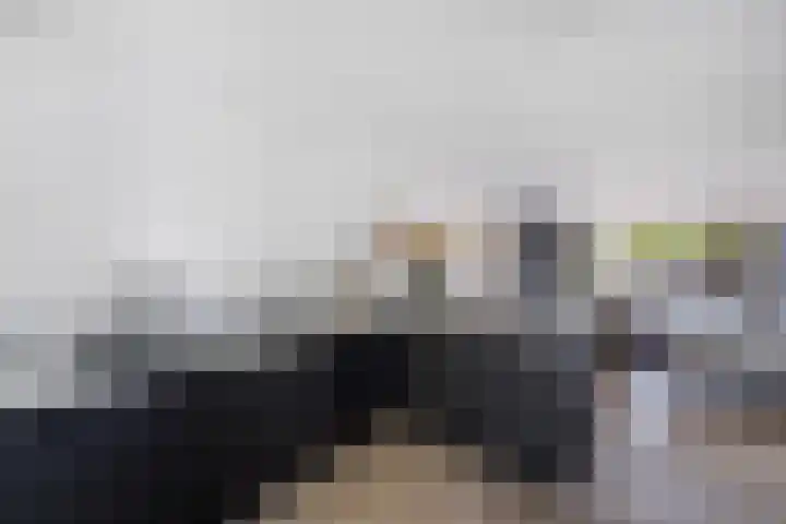 Vroegeling 14 Heemskerk thumbnail 23