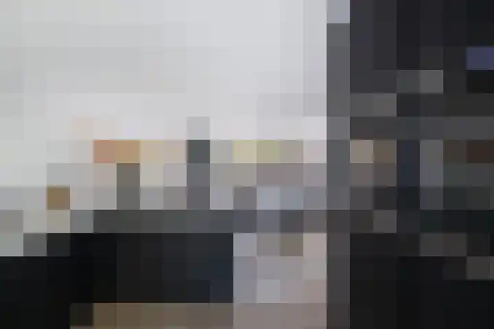 Vroegeling 14 Heemskerk thumbnail 24