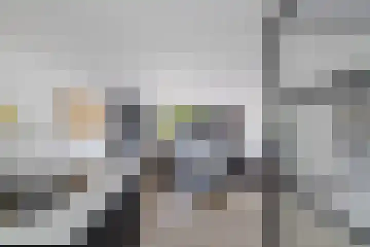 Vroegeling 14 Heemskerk thumbnail 27