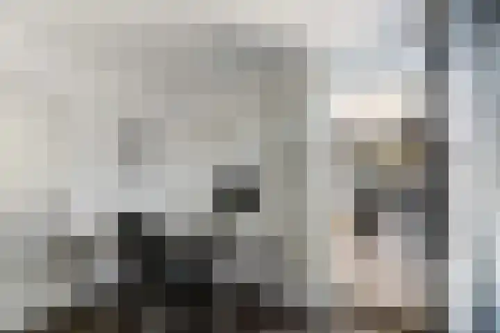 Vroegeling 14 Heemskerk thumbnail 30