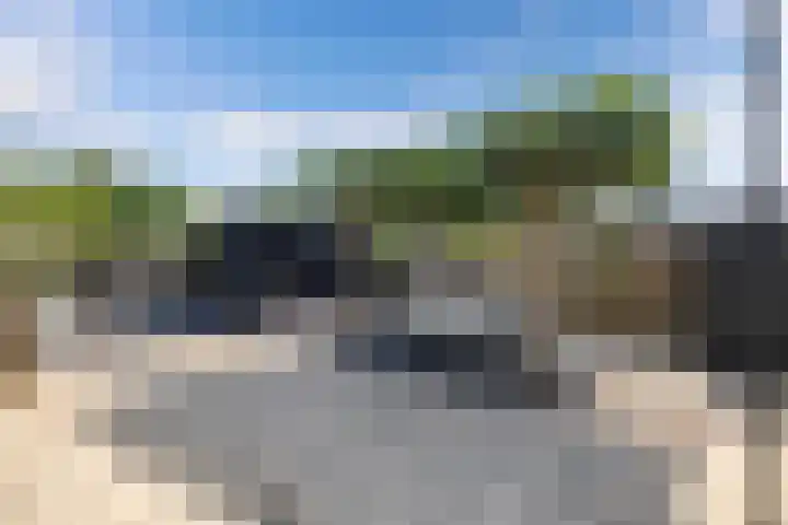 Vroegeling 14 Heemskerk thumbnail 31