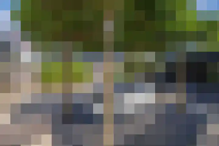 Vroegeling 14 Heemskerk thumbnail 32