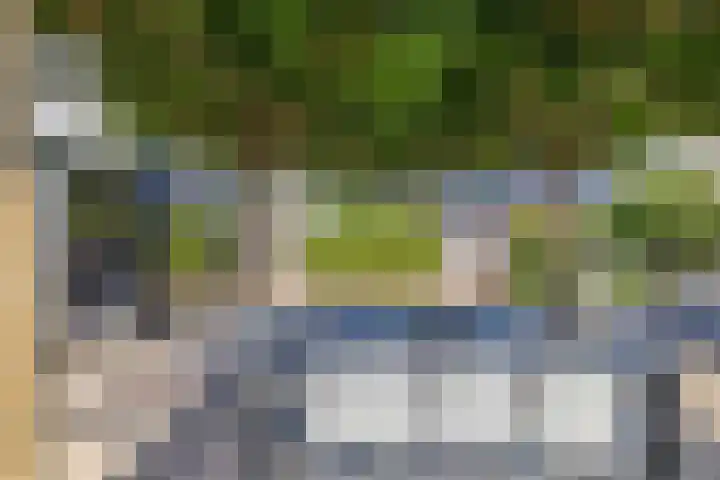 Vroegeling 14 Heemskerk thumbnail 33