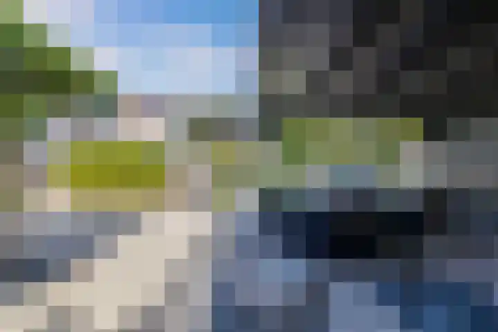 Vroegeling 14 Heemskerk thumbnail 34