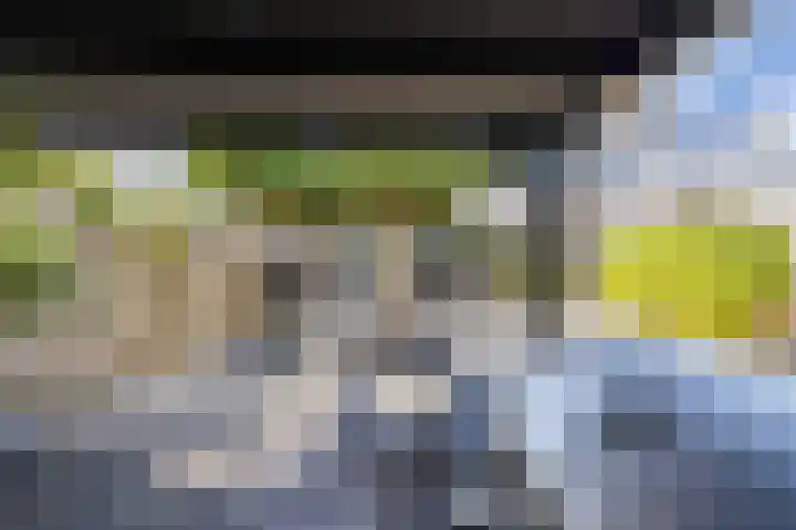 Vroegeling 14 Heemskerk thumbnail 35