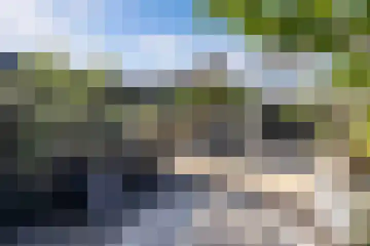 Vroegeling 14 Heemskerk thumbnail 36