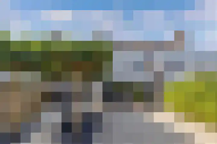 Vroegeling 14 Heemskerk thumbnail 38