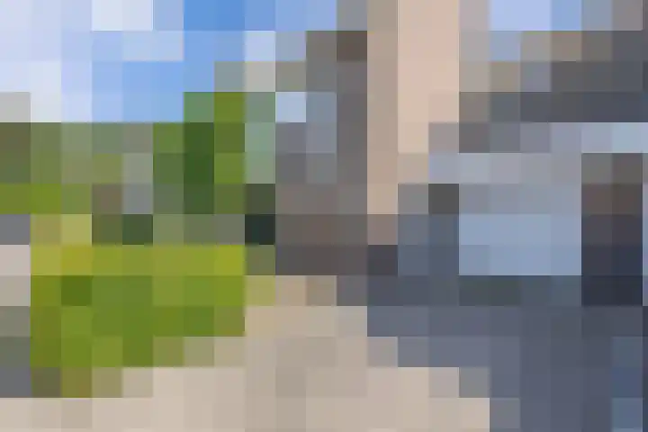 Vroegeling 14 Heemskerk thumbnail 4