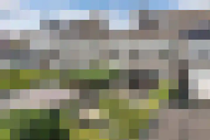 Vroegeling 14 Heemskerk thumbnail 40