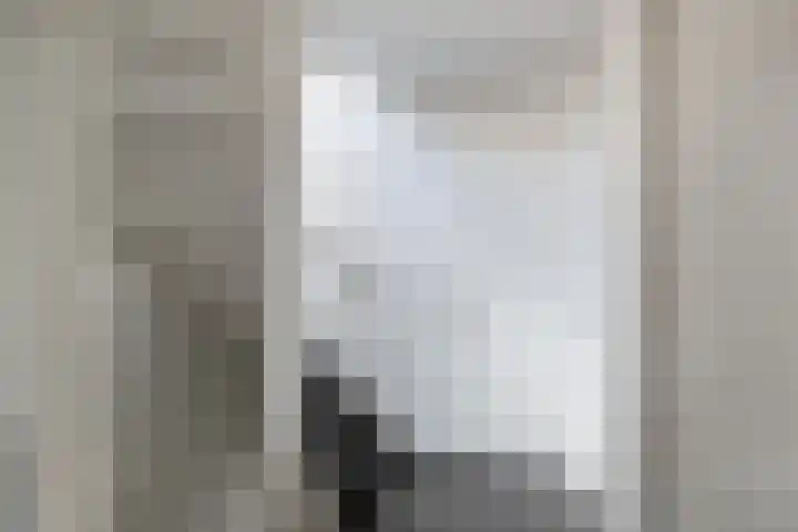 Vroegeling 14 Heemskerk thumbnail 42