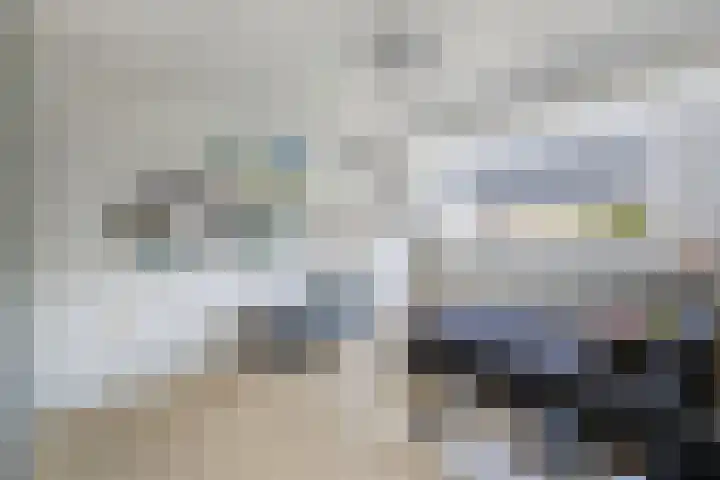 Vroegeling 14 Heemskerk thumbnail 43