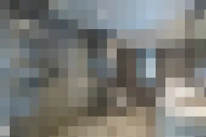 Vroegeling 14 Heemskerk thumbnail 47