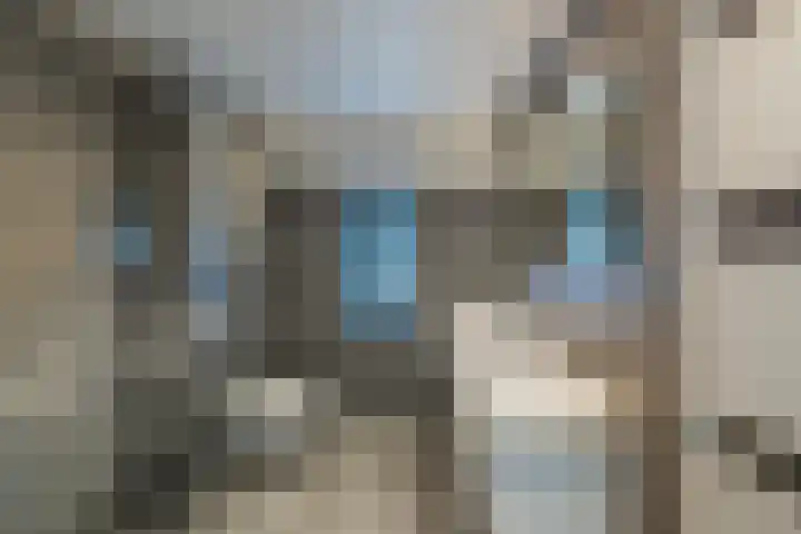 Vroegeling 14 Heemskerk thumbnail 48