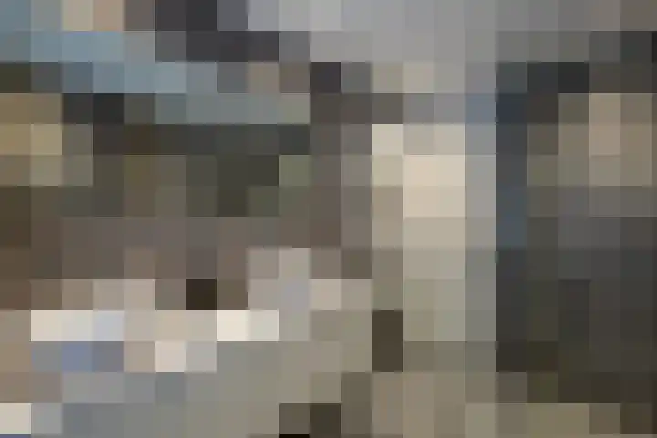 Vroegeling 14 Heemskerk thumbnail 49