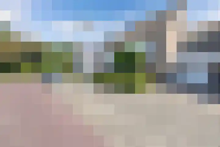 Vroegeling 14 Heemskerk thumbnail 5