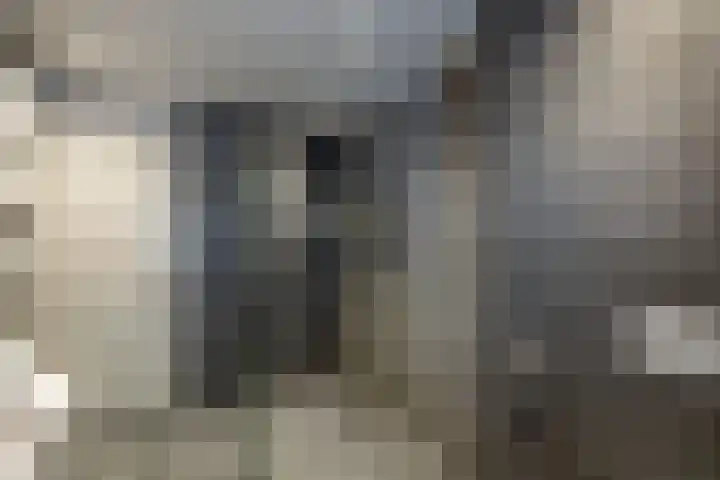 Vroegeling 14 Heemskerk thumbnail 50