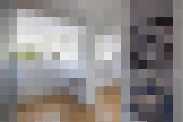 Vroegeling 14 Heemskerk thumbnail 51