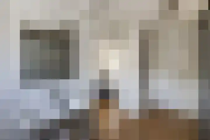 Vroegeling 14 Heemskerk thumbnail 52