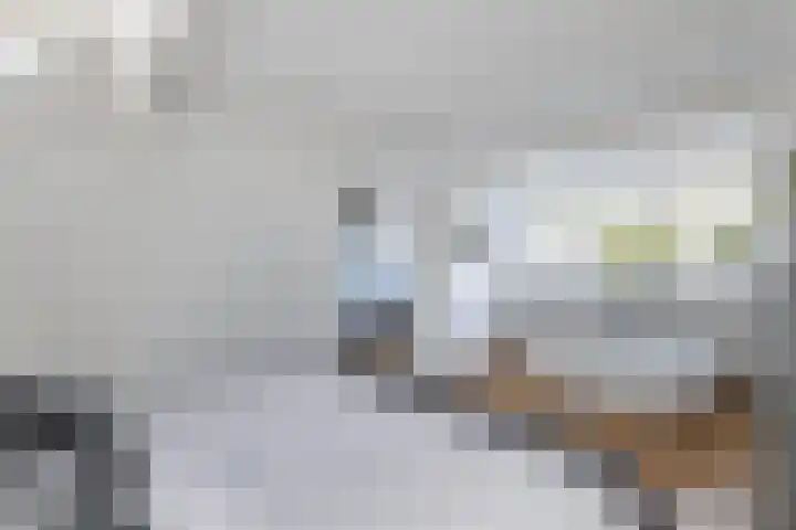Vroegeling 14 Heemskerk thumbnail 54
