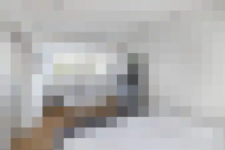 Vroegeling 14 Heemskerk thumbnail 55