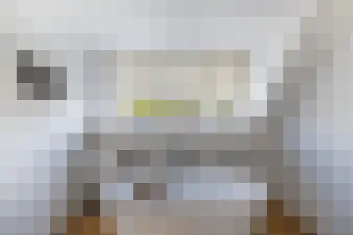 Vroegeling 14 Heemskerk thumbnail 56