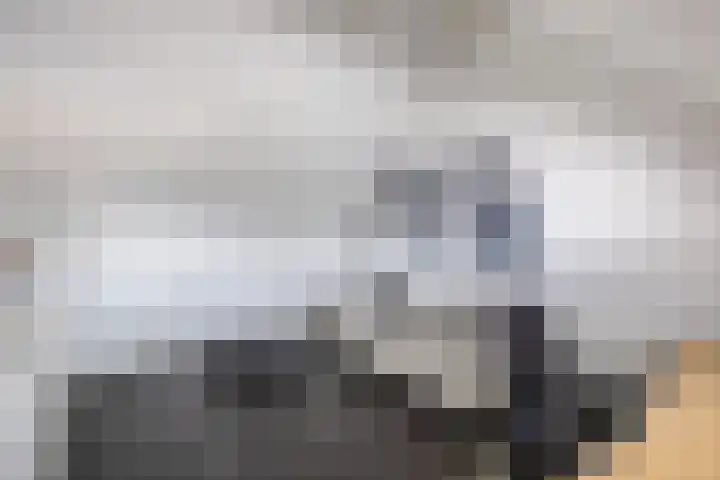 Vroegeling 14 Heemskerk thumbnail 58