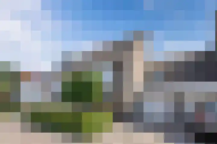 Vroegeling 14 Heemskerk thumbnail 6