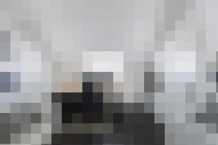 Vroegeling 14 Heemskerk thumbnail 60