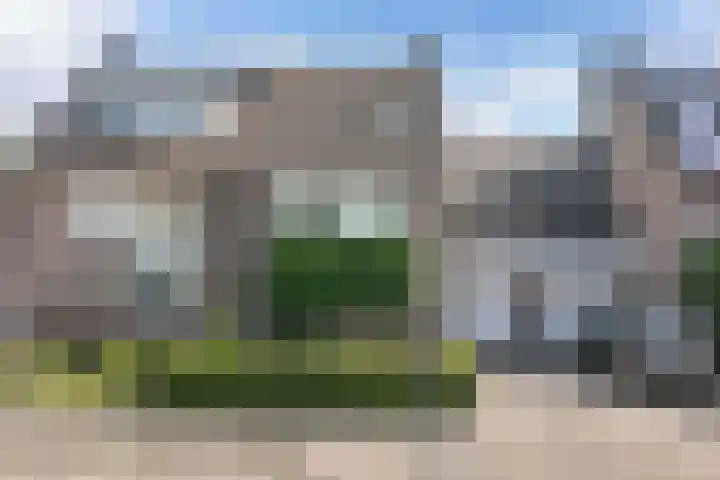 Vroegeling 14 Heemskerk thumbnail 7