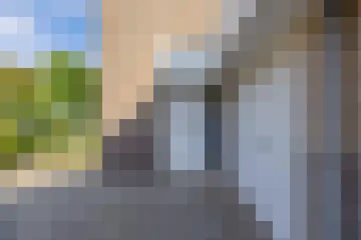 Vroegeling 14 Heemskerk thumbnail 8