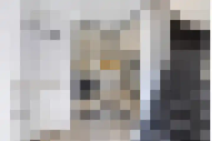 Vroegeling 14 Heemskerk thumbnail 9