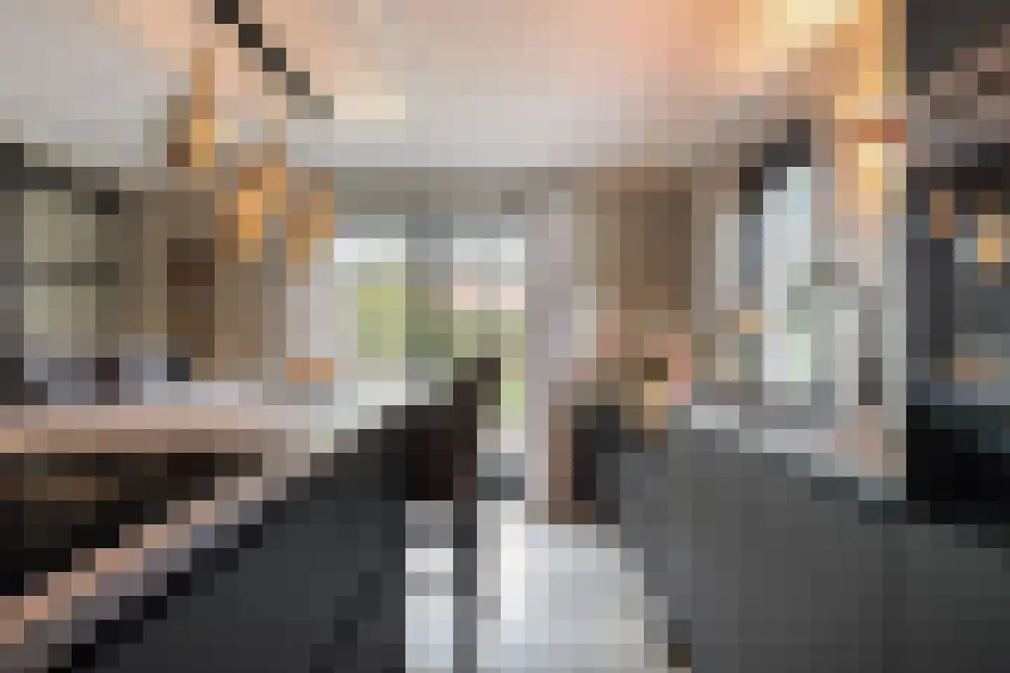 Vroegeling 17 Klazienaveen thumbnail 16