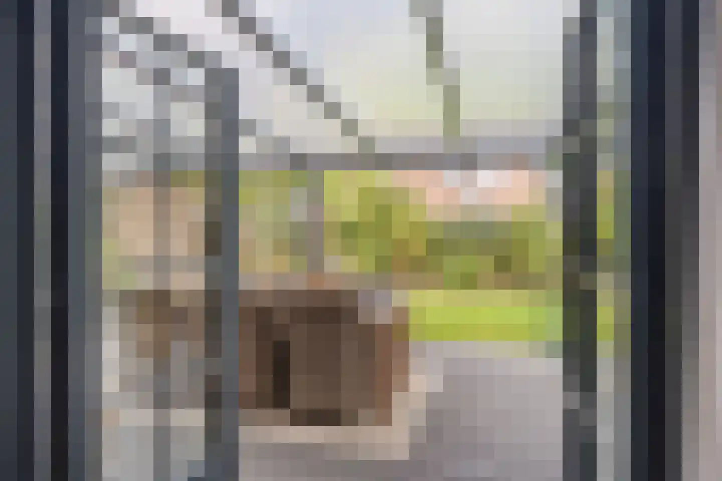 Vroegeling 17 Klazienaveen thumbnail 17