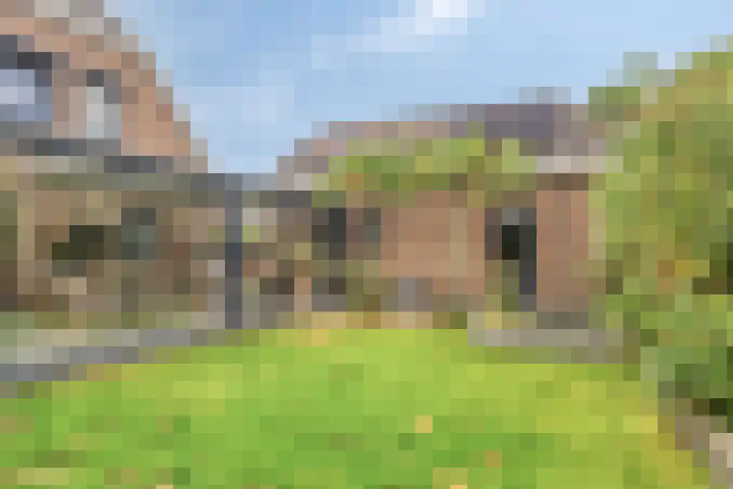Vroegeling 17 Klazienaveen thumbnail 31
