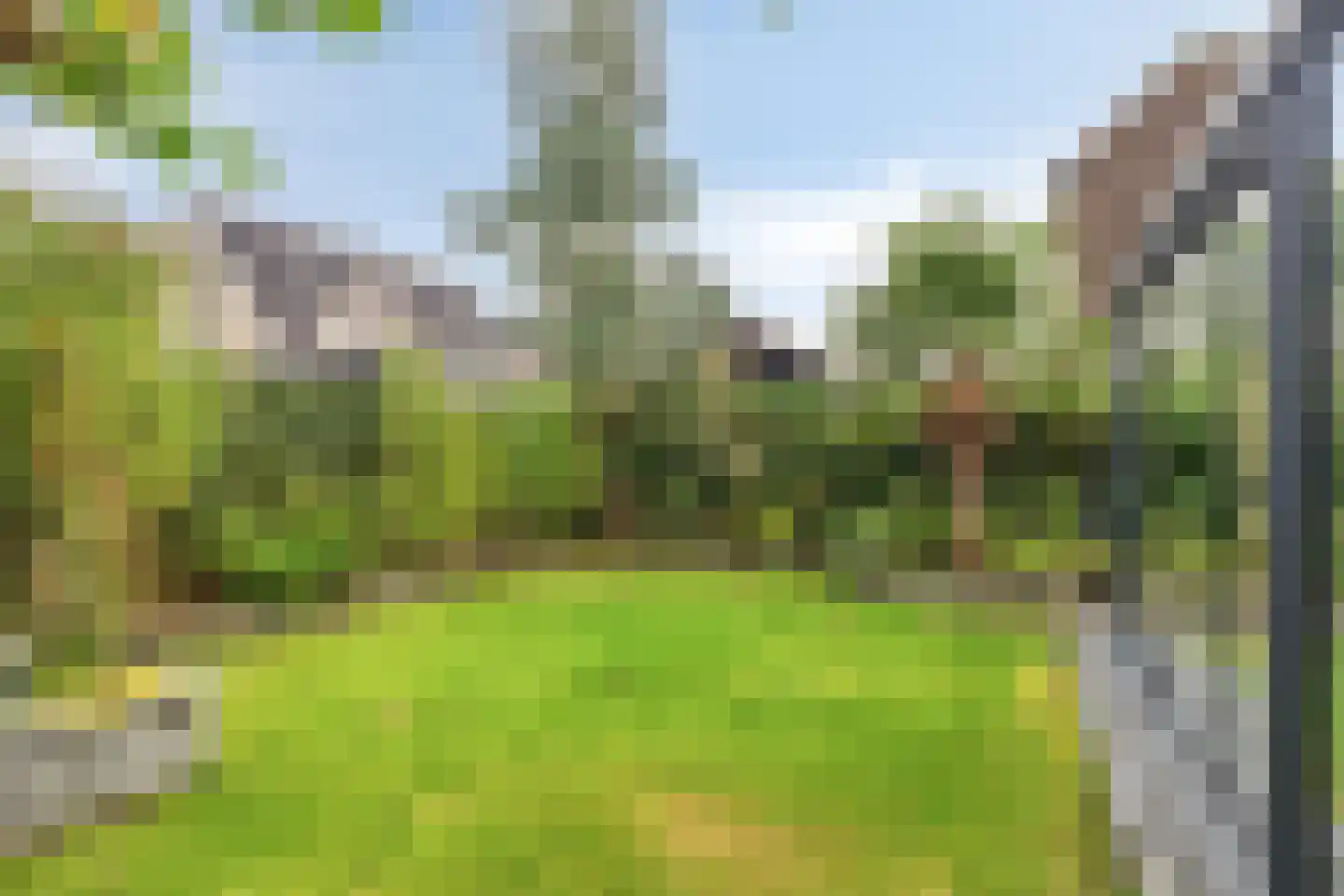 Vroegeling 17 Klazienaveen thumbnail 32