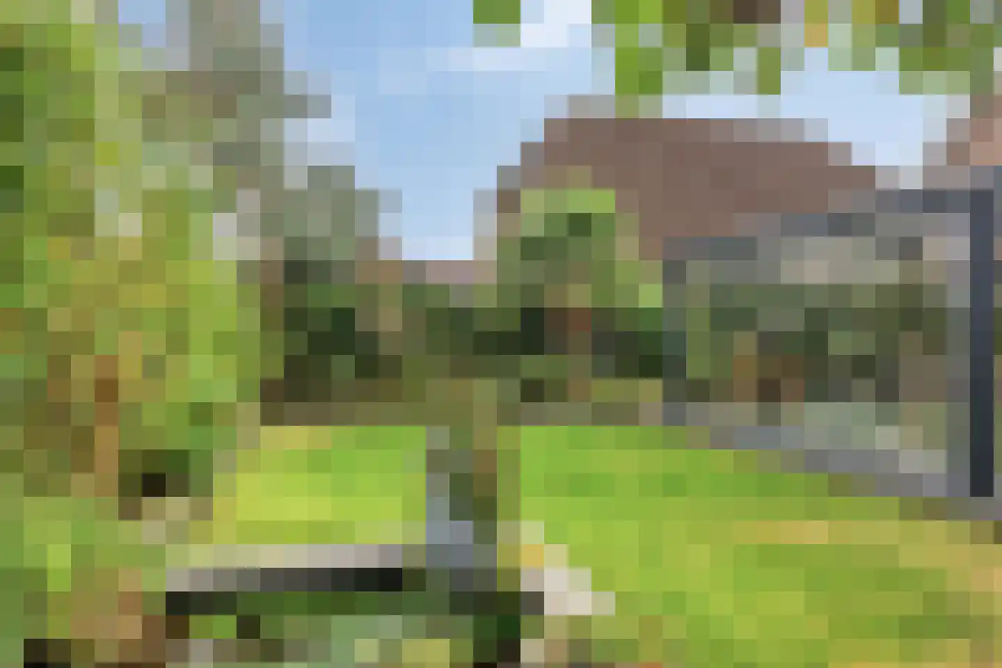 Vroegeling 17 Klazienaveen thumbnail 33