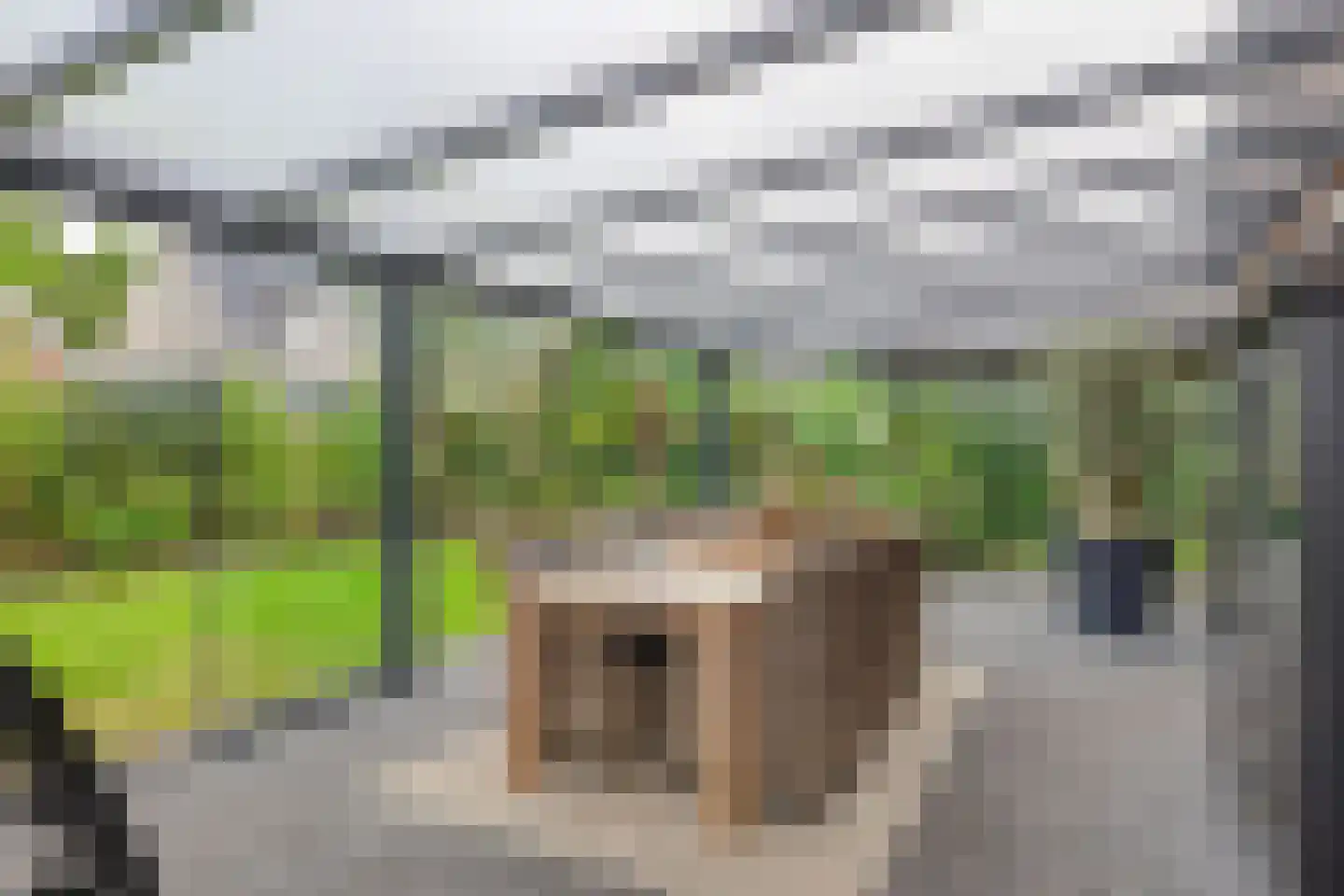 Vroegeling 17 Klazienaveen thumbnail 36