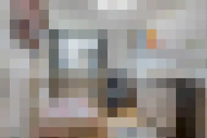 Vroegeling 49 Klazienaveen thumbnail 15
