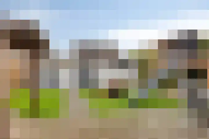 Vroegeling 49 Klazienaveen thumbnail 19