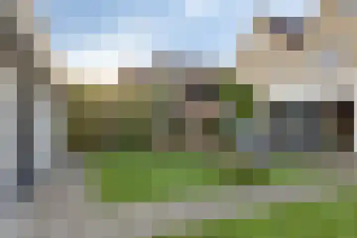 Vroegeling 49 Klazienaveen thumbnail 20