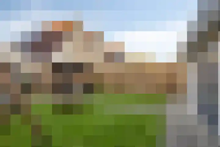 Vroegeling 49 Klazienaveen thumbnail 21