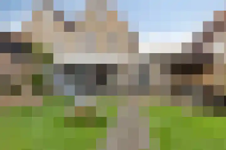 Vroegeling 49 Klazienaveen thumbnail 22