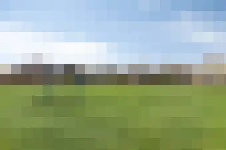 Vroegeling 49 Klazienaveen thumbnail 25