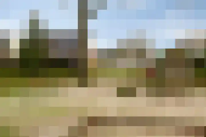 Vroegeling 49 Klazienaveen thumbnail 26