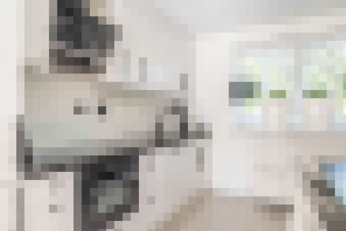 Vroegeling 65 Heemskerk thumbnail 13