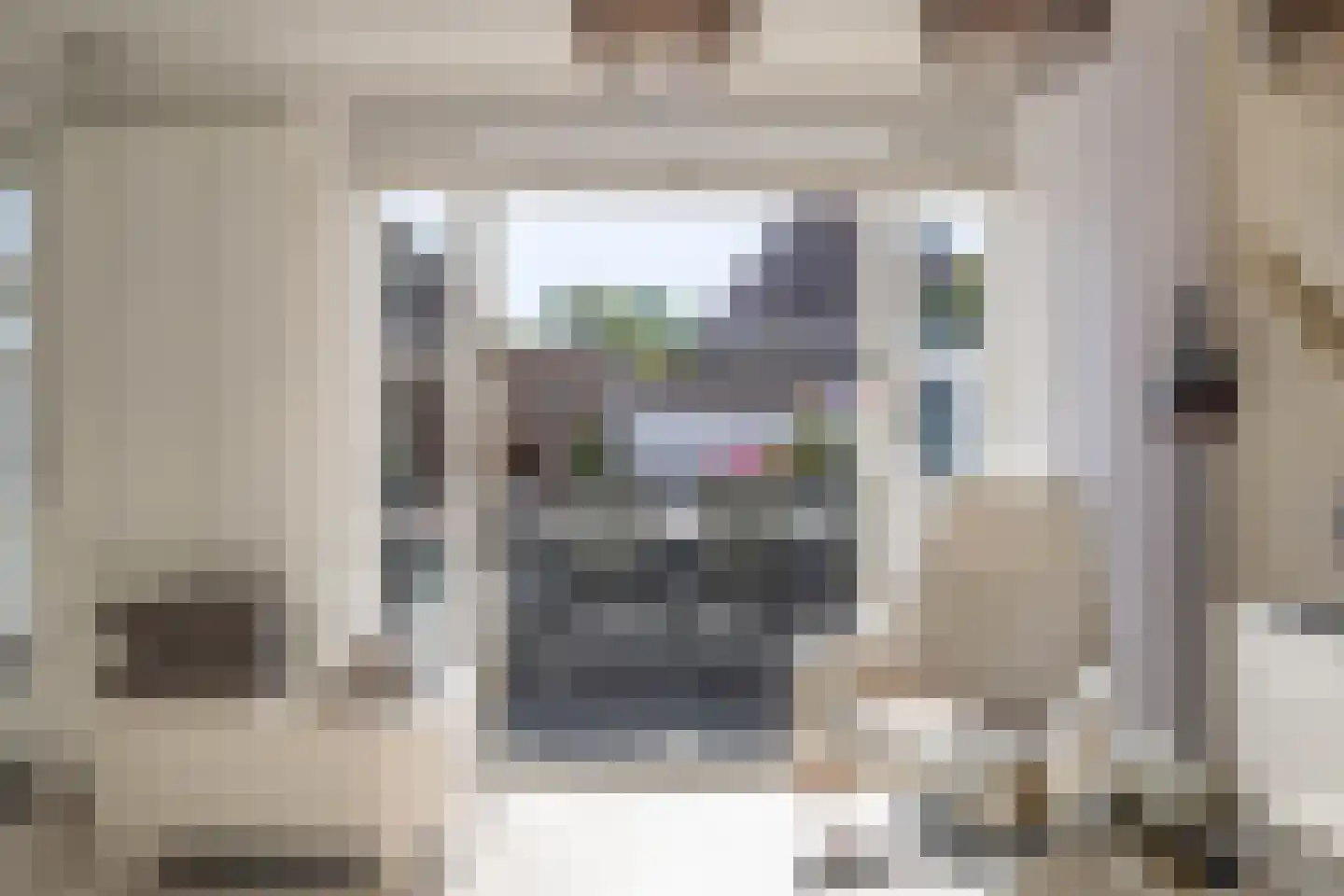 Vroegeling 65 Heemskerk thumbnail 16