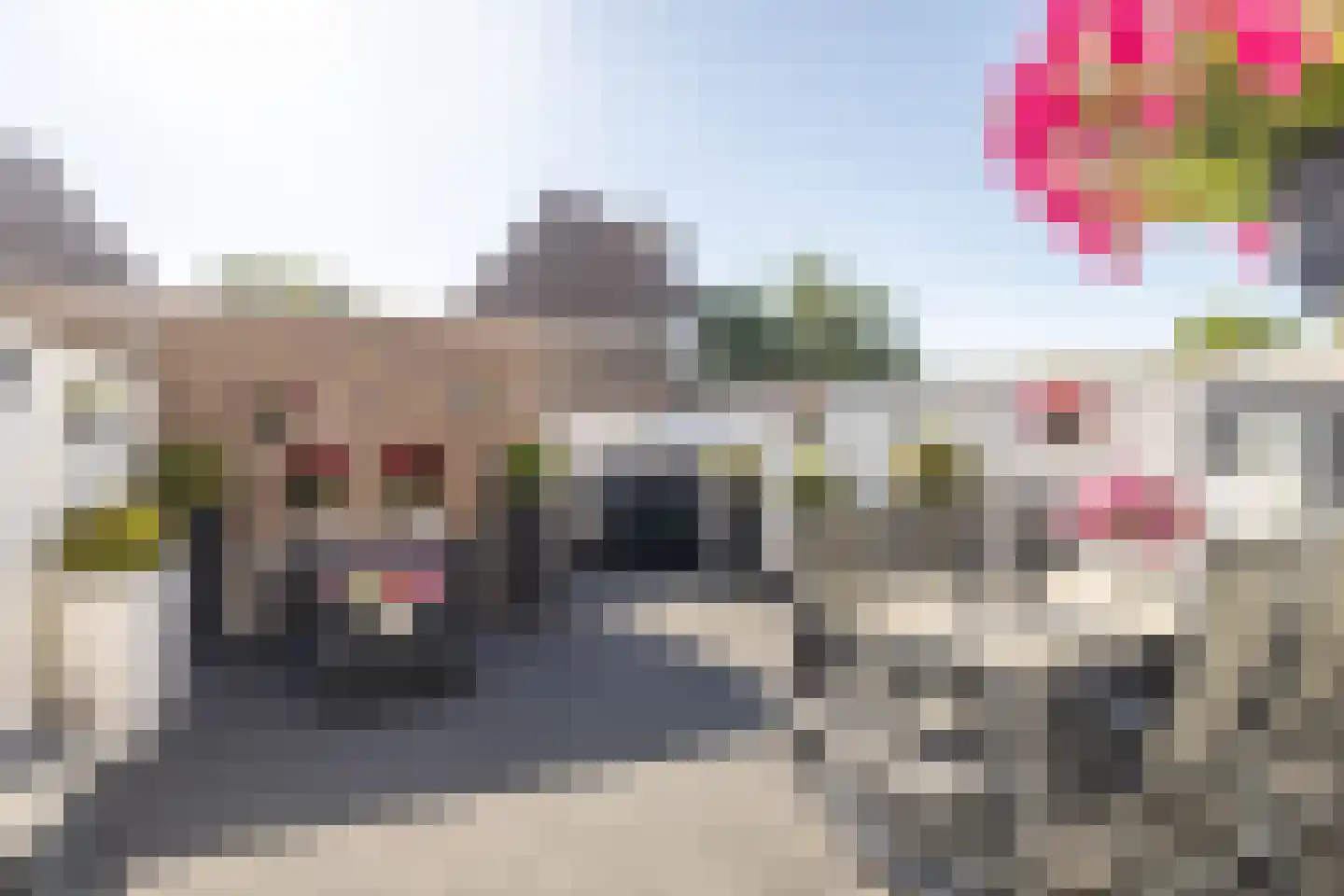 Vroegeling 65 Heemskerk thumbnail 17