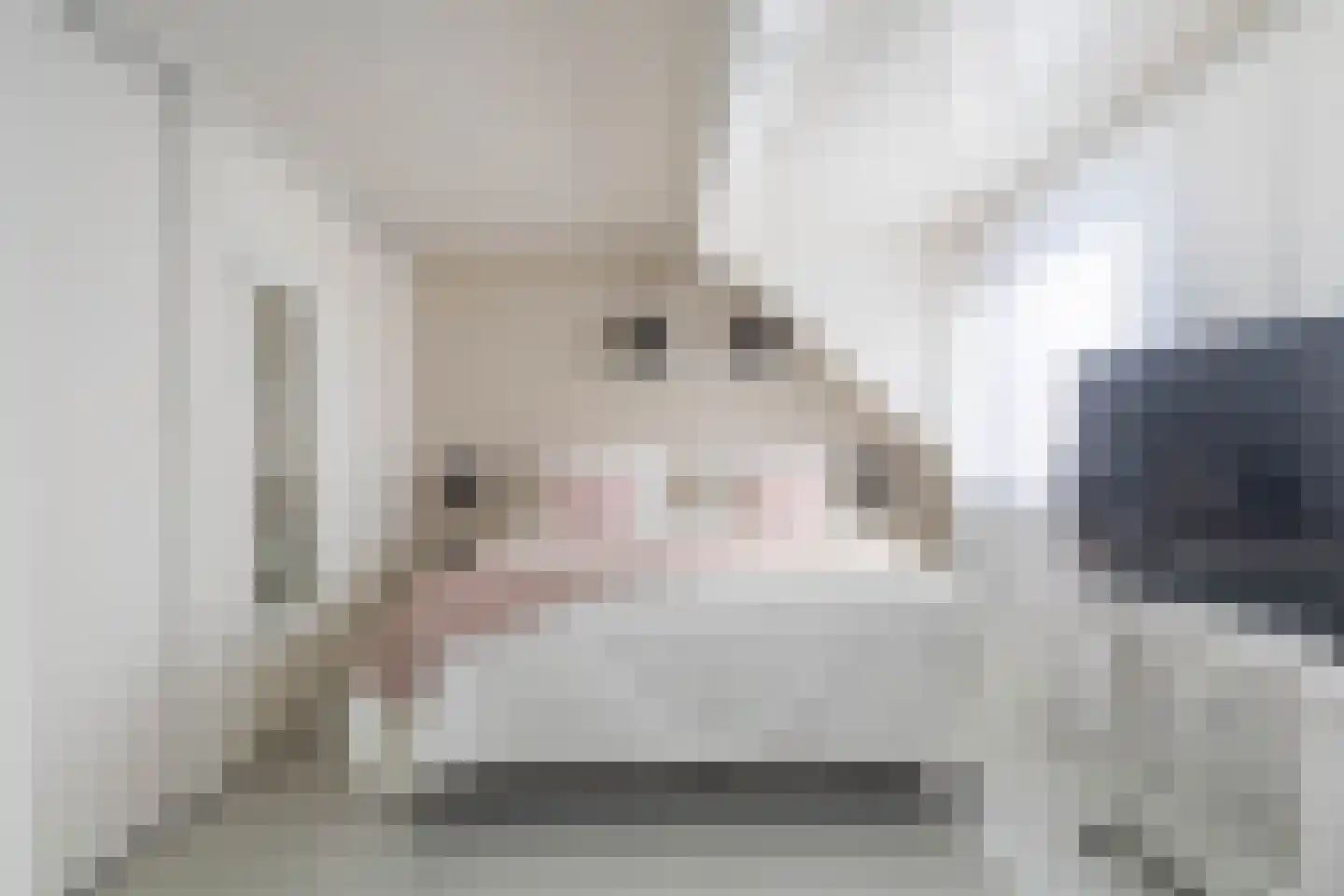 Vroegeling 65 Heemskerk thumbnail 20