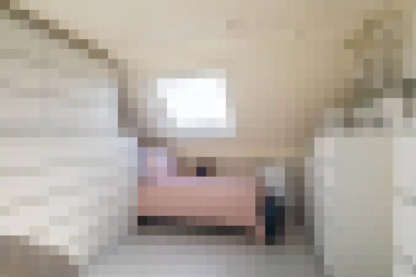 Vroegeling 65 Heemskerk thumbnail 30