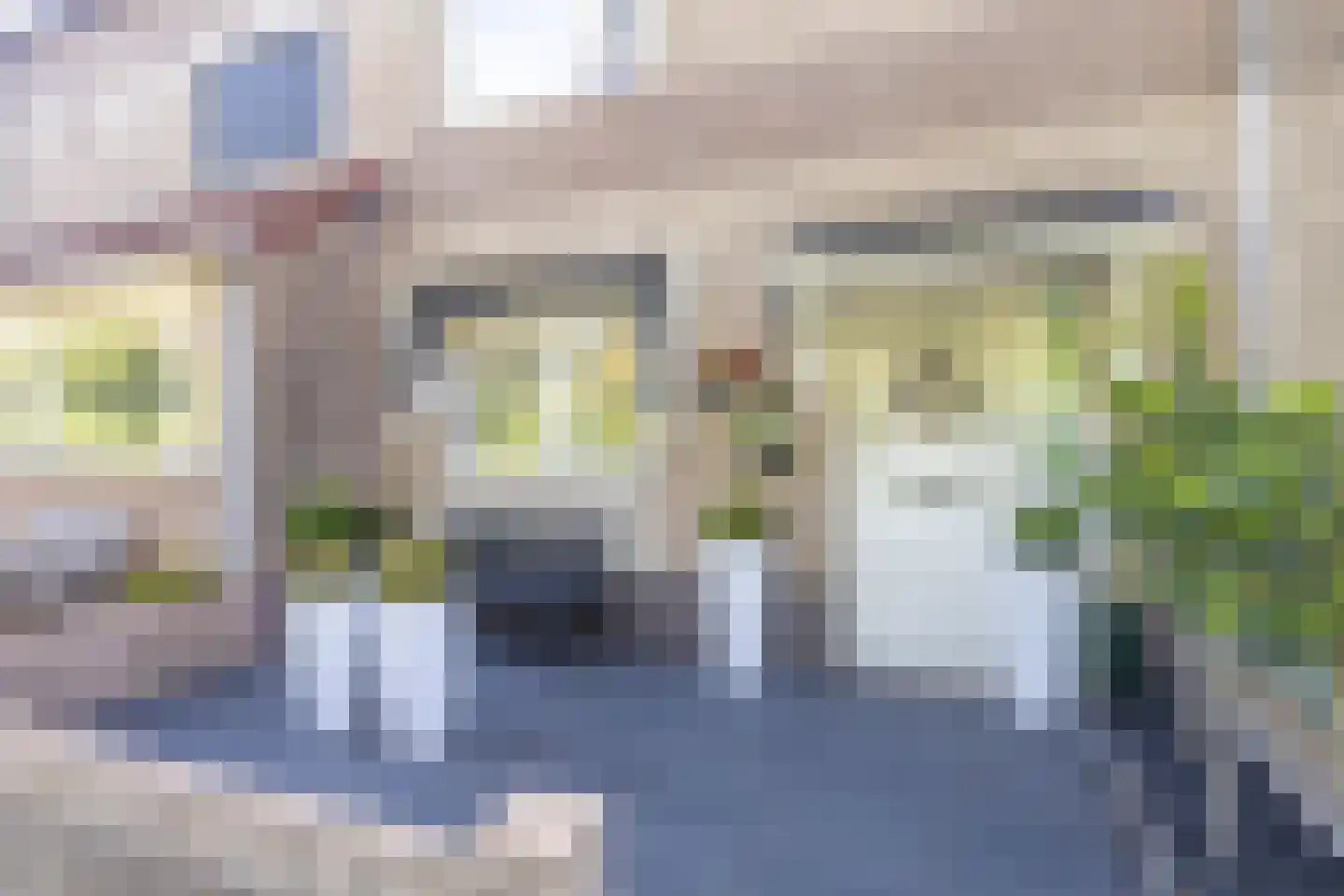 Vroegeling 65 Heemskerk thumbnail 4